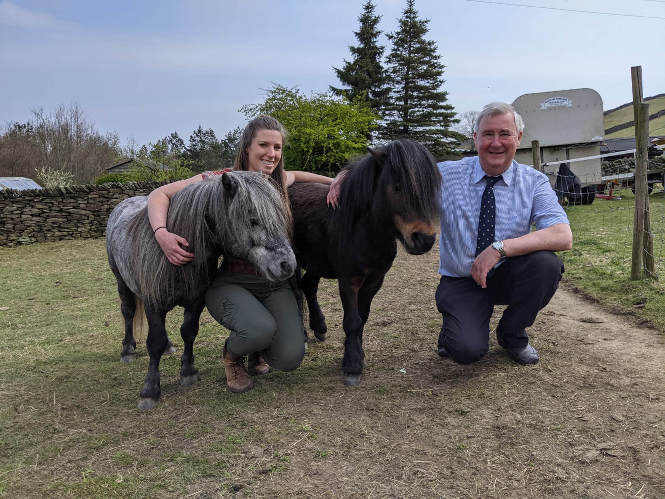 TV tonight Vets Peter and Shona castrate two young Shetland ponies