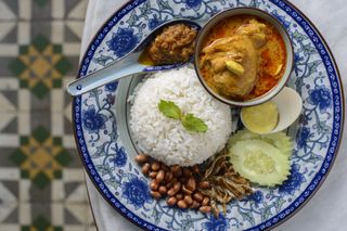 A blue and white plate with nasi lemak on it