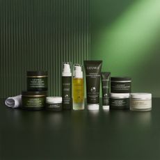 Full Liz Earle beauty product collection on a green textured background