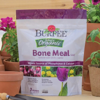 Natural Organic Bone Meal | Available at Burpee