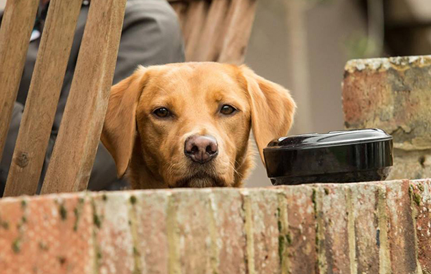 Gripped by the action? We hear you