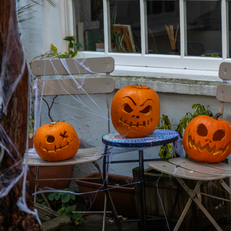 Three carved pumpkins in a garden surrounded by fake spiders web