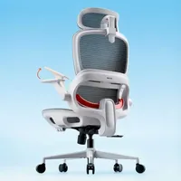 Sihoo B100 Office Chair Sihoo B100 Office Chair