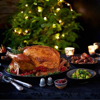 christmas dinner with roasted turkey and food dishes