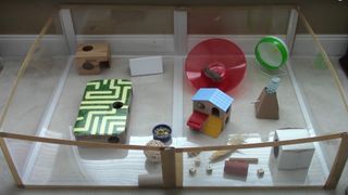 One of several DIY hamster playpen ideas 