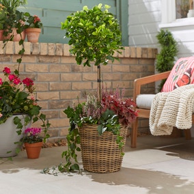 Faux Rattan Round Plant Pot