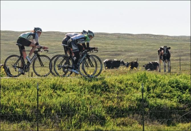 Training in Green Pastures.