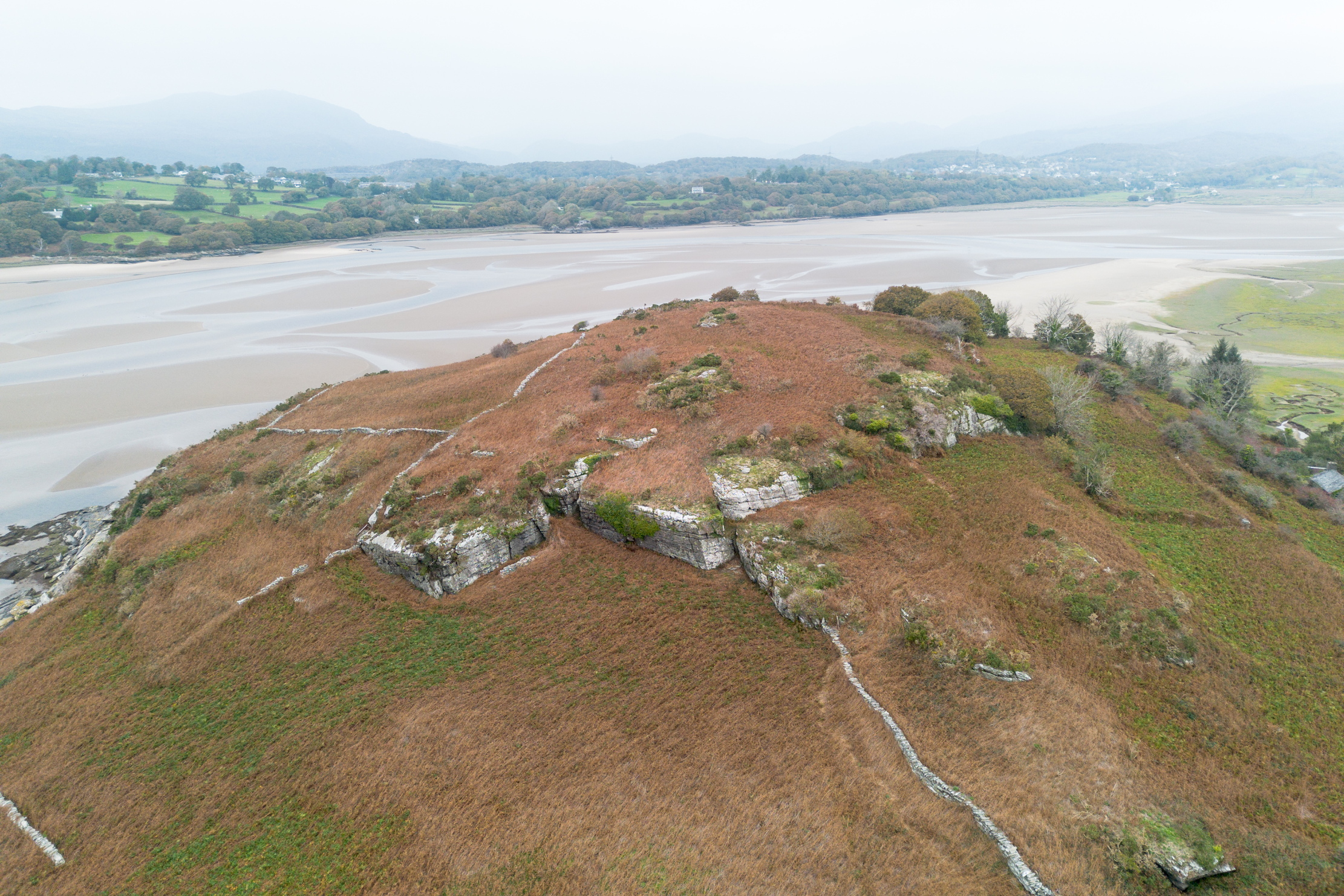 The barely inhabited welsh island of Ynys Gifftan, overgrown and lush