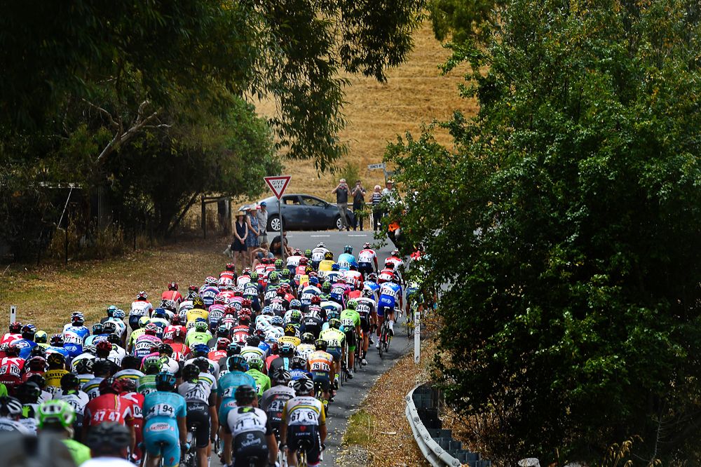 The peloton in action during stage 3 of the Tour Down Under.