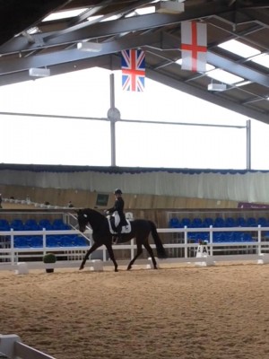 Amo in the Prix St George
