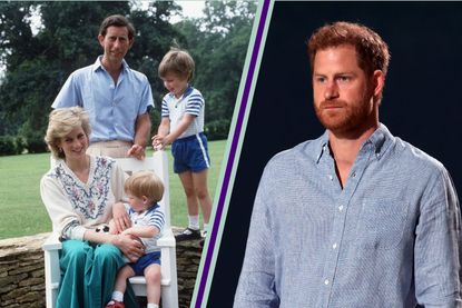 Prince Harry spare claims - A picture of King Charles, Princess Diana and Harry and William and children - taken At Highgrove, 1986 alongside a picture of Harry, picture looking serious