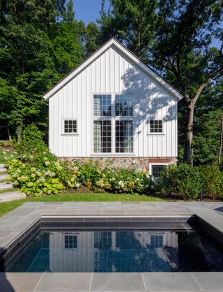 A plunge pool placed into a small backyard - wrapped around with greenery and nature