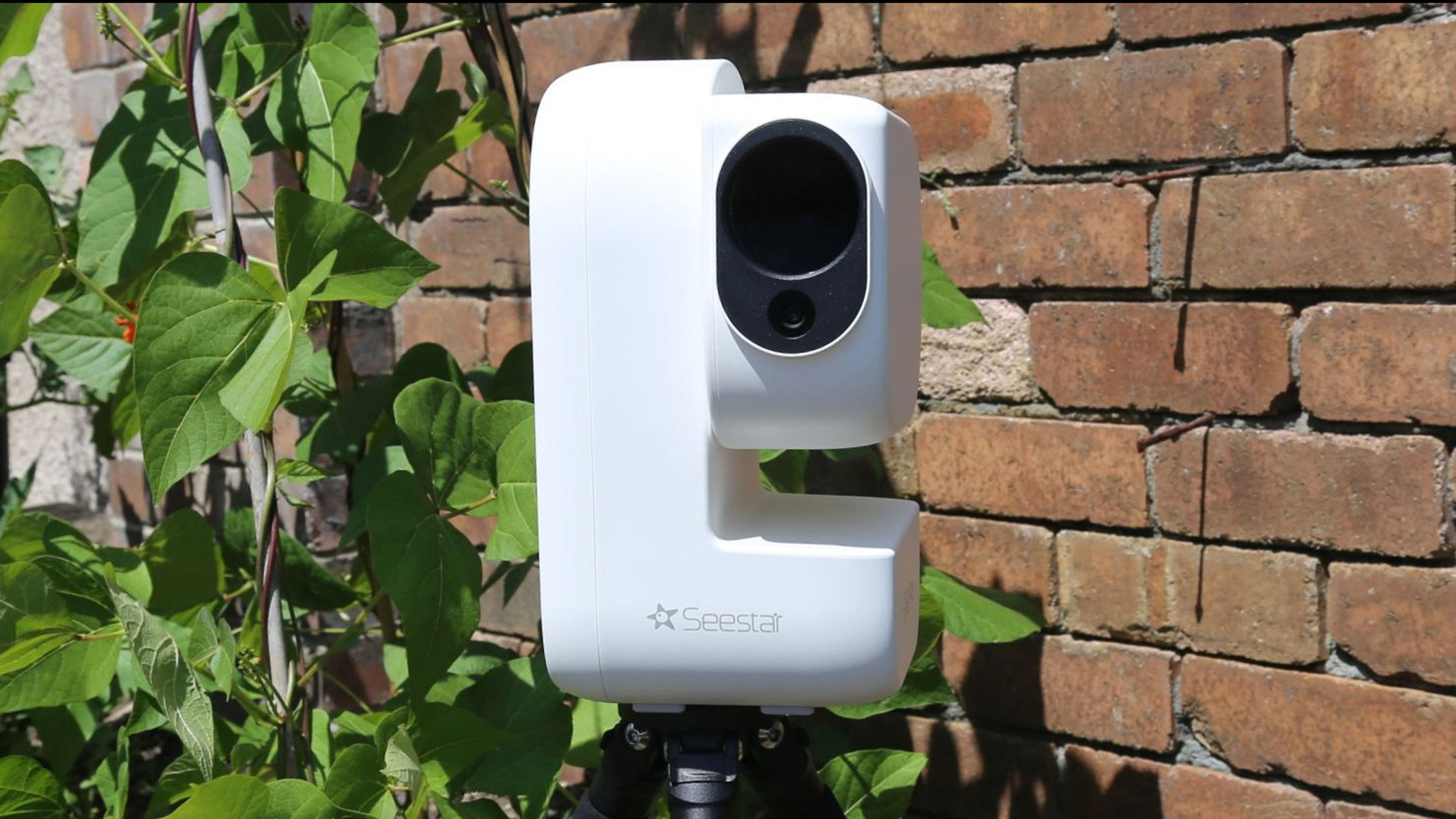 A ZWO Seestar S50 Pro against a brick background and green leaves.