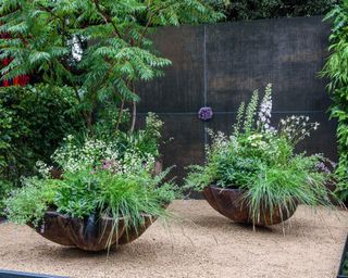 large containers filled with evergreen plants