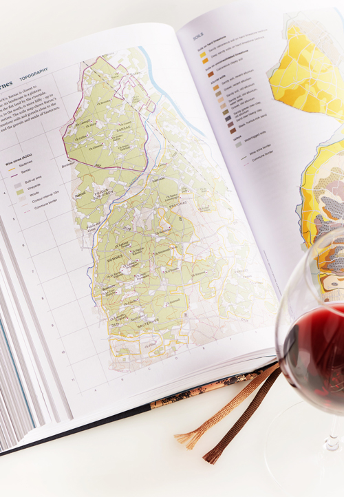 Inside Bordeaux, Jane Anson