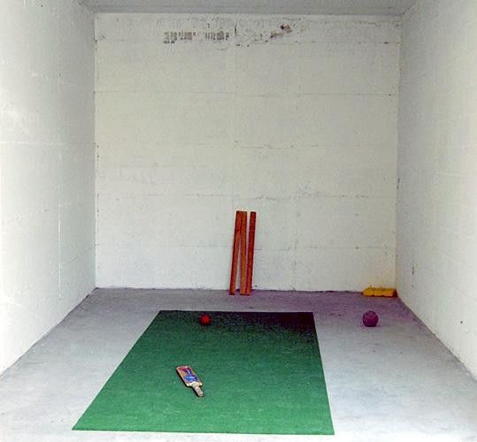 The cricket pitch