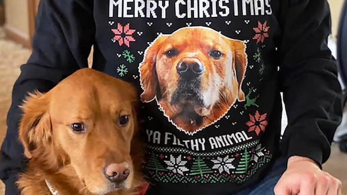 custom pet holiday sweater