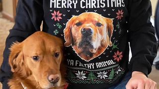 custom pet holiday sweater