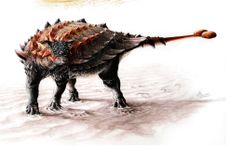Ankylosaurs