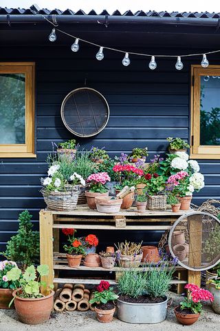 Cottage backyard ideas potted display