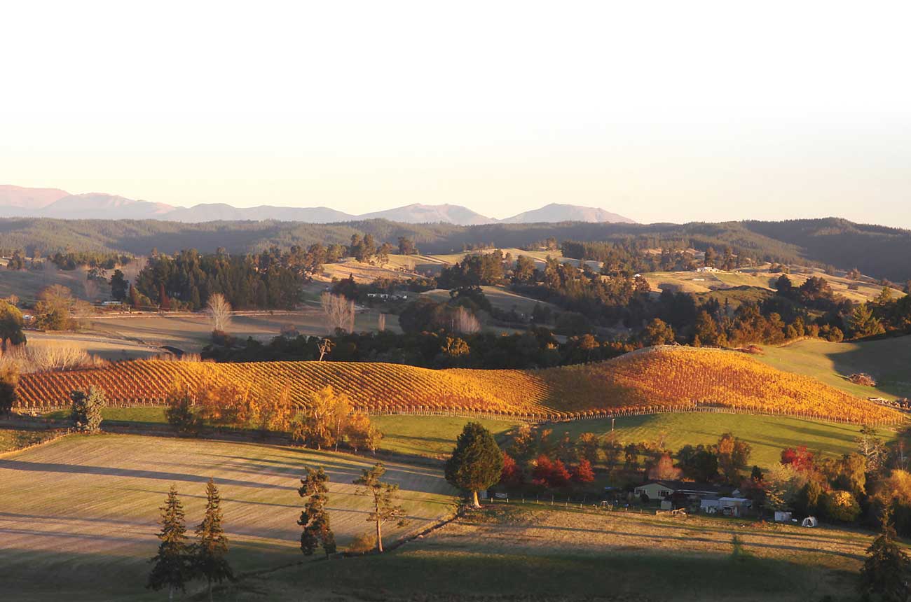 Neudorf Vineyards in Nelson, New Zealand