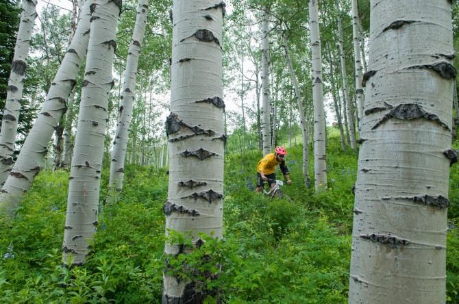 Sean Leader rips through the aspen in Snowmass, CO