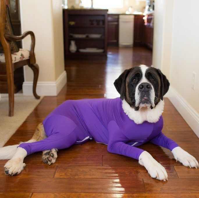 Shed Defender Dog Onesie