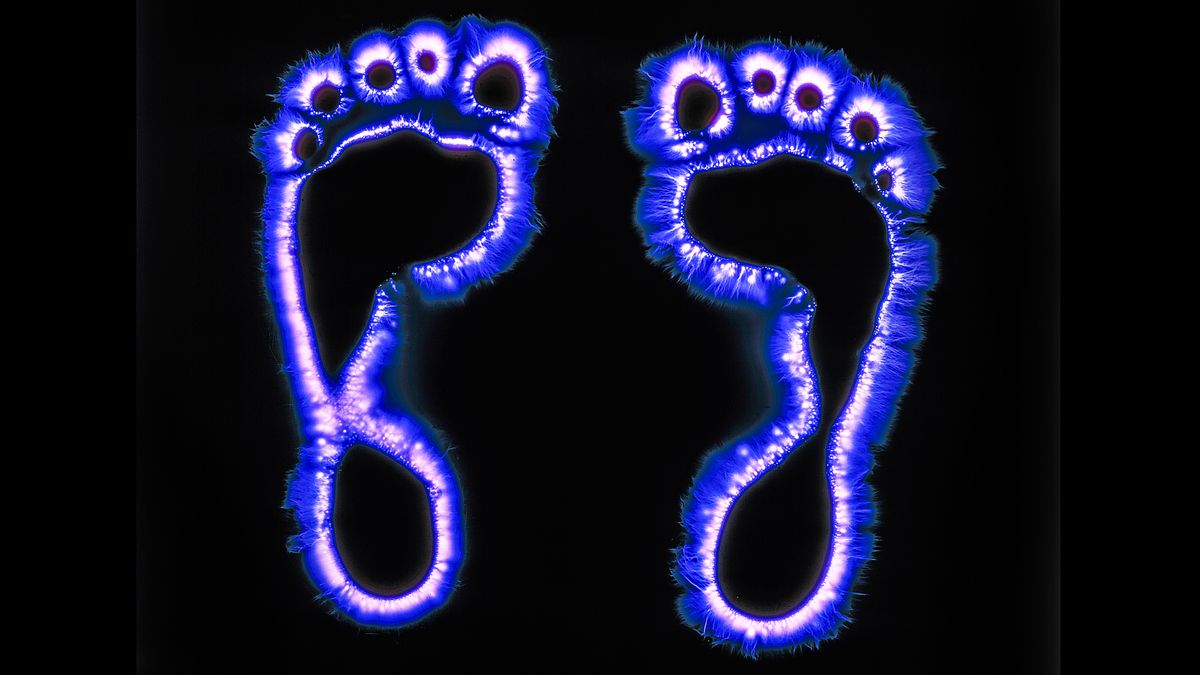 Kirlian photography supernatural phenomenon or scientific reaction