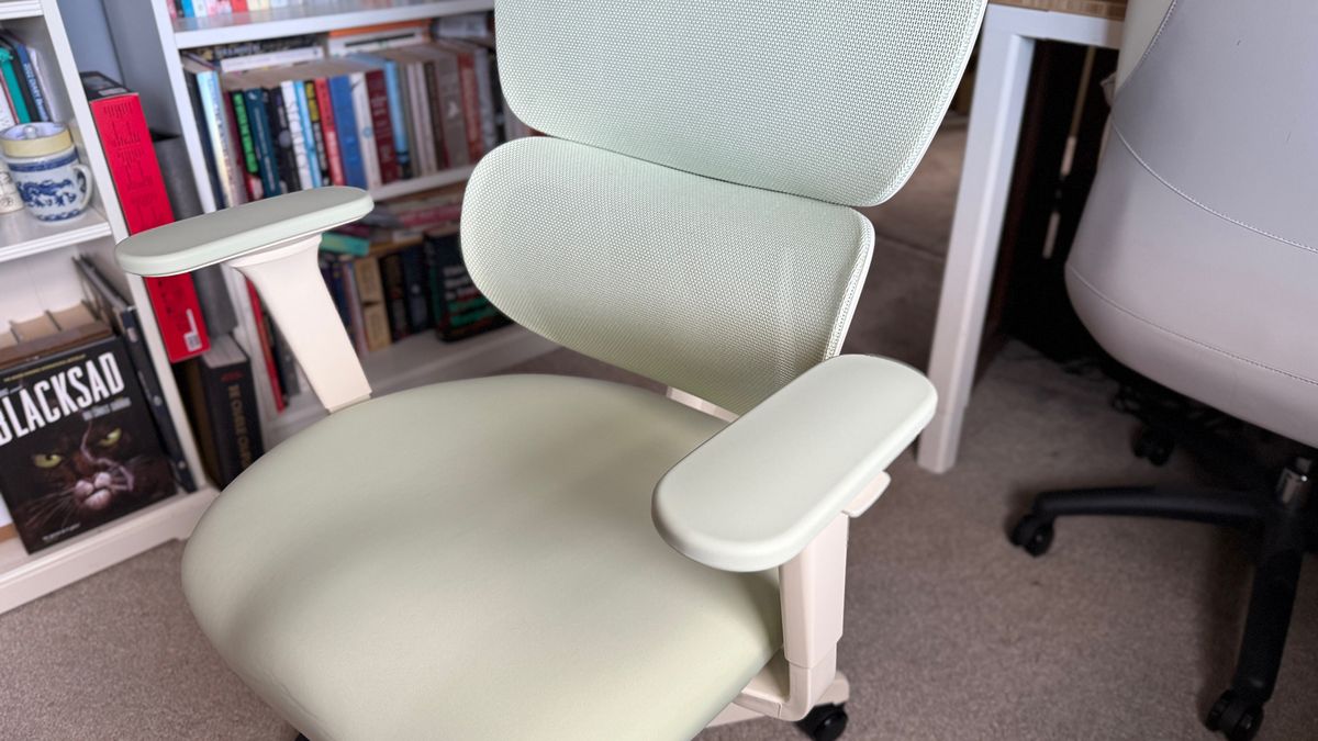 Two shots of the Flexispot BS5 chair.
