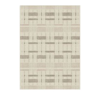 A large neutral area rug