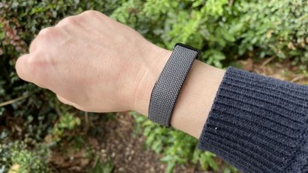 Google Fitbit Air