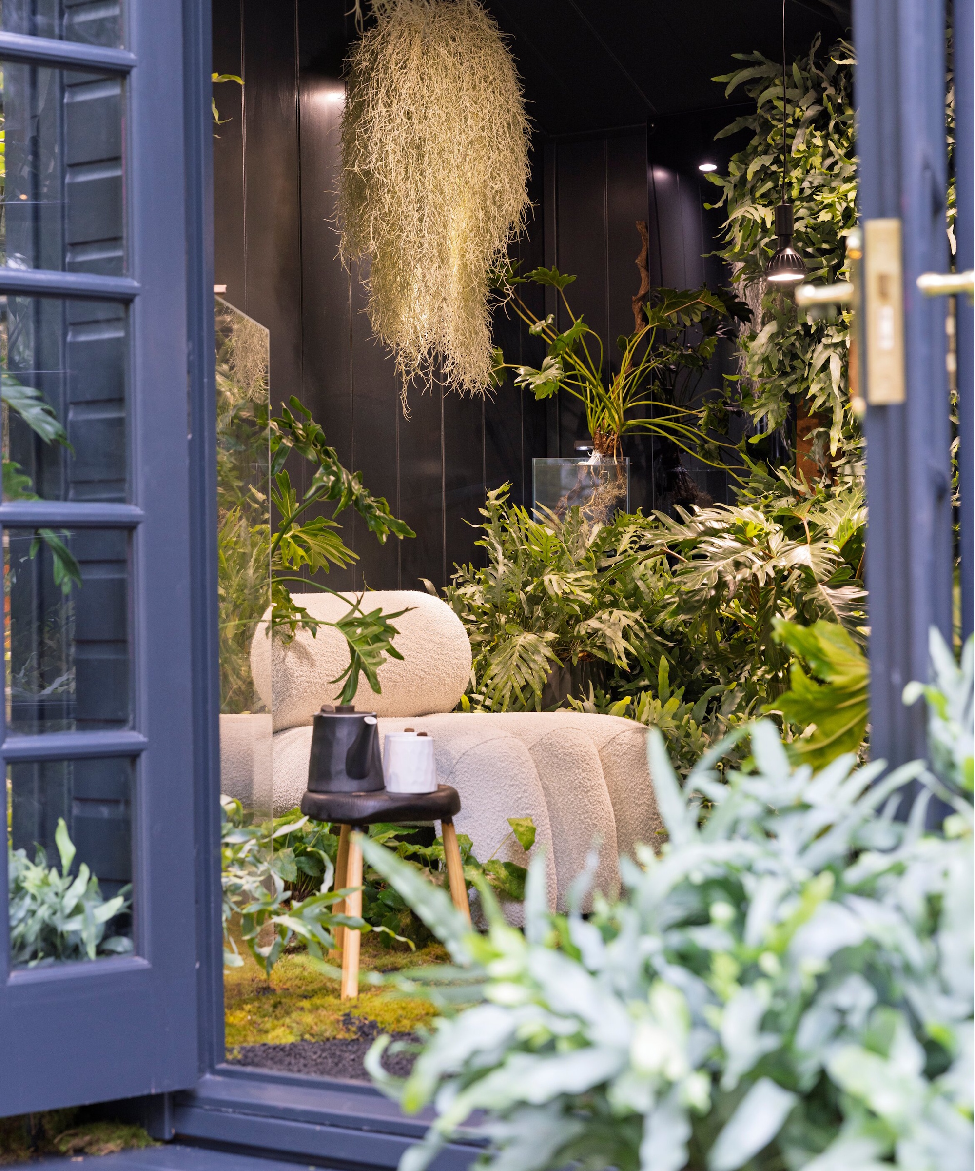 2025 Chelsea Flower Show Houseplant Studios