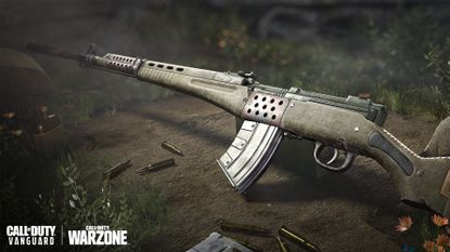 Warzone M1916: Marksman Rifle vangaurd
