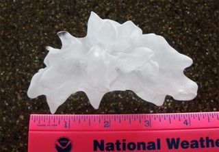 Record-setting hailstone from the Hawaii 'supercell' thunderstorm that hit the Hawaiian island of Oahu on March 9, 2012. 