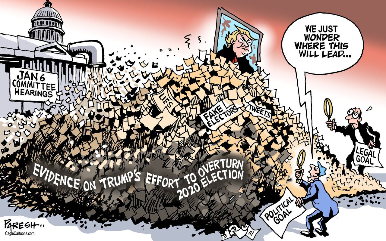 Political Cartoon