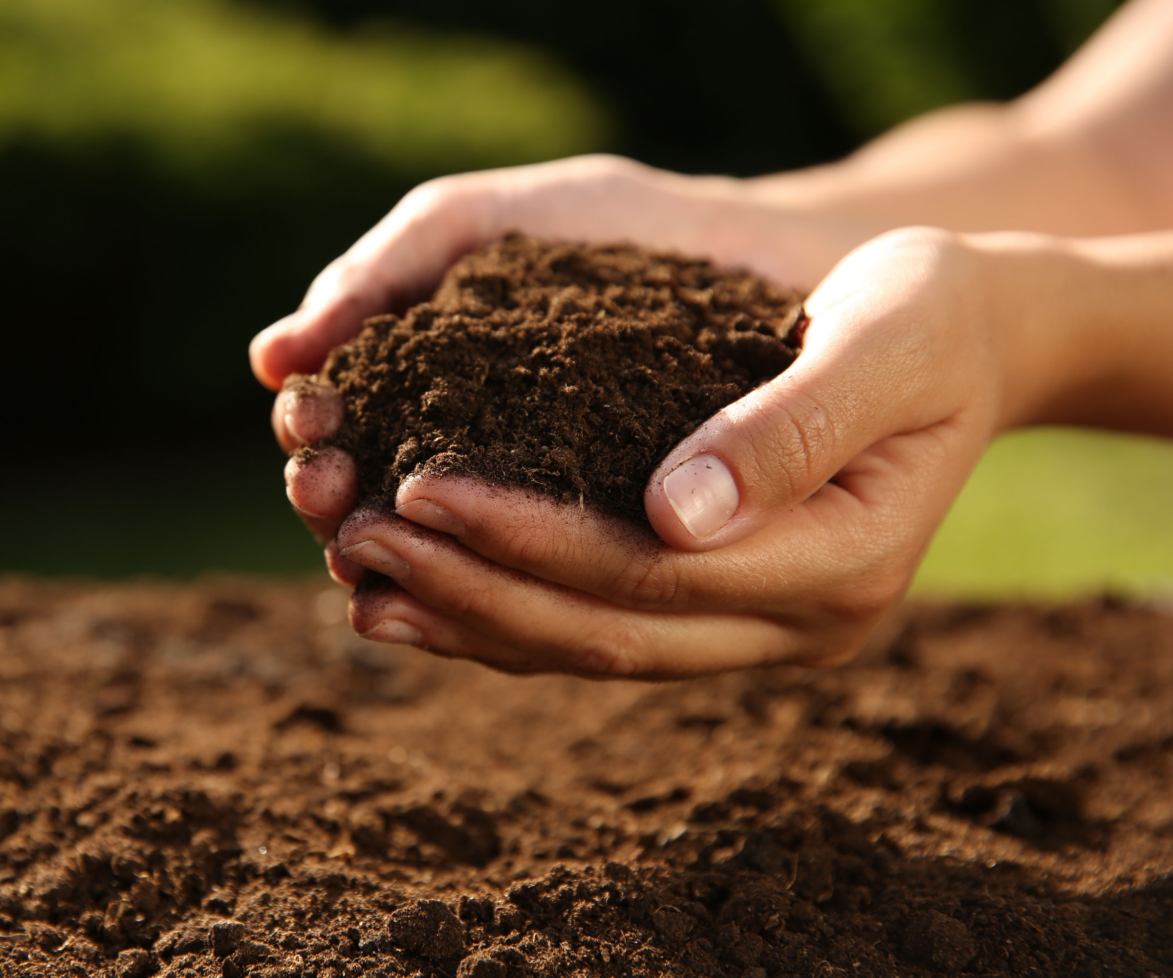 hands holding and squeezing garden soil