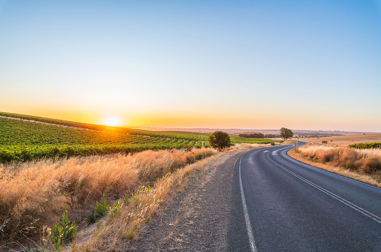 barossa valley