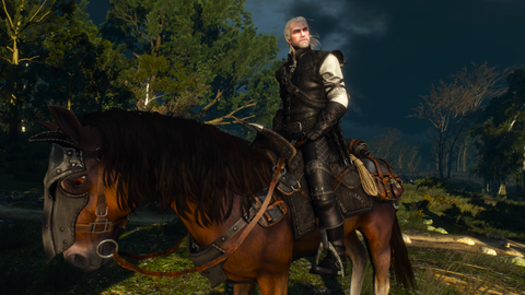 the witcher 3 top mods