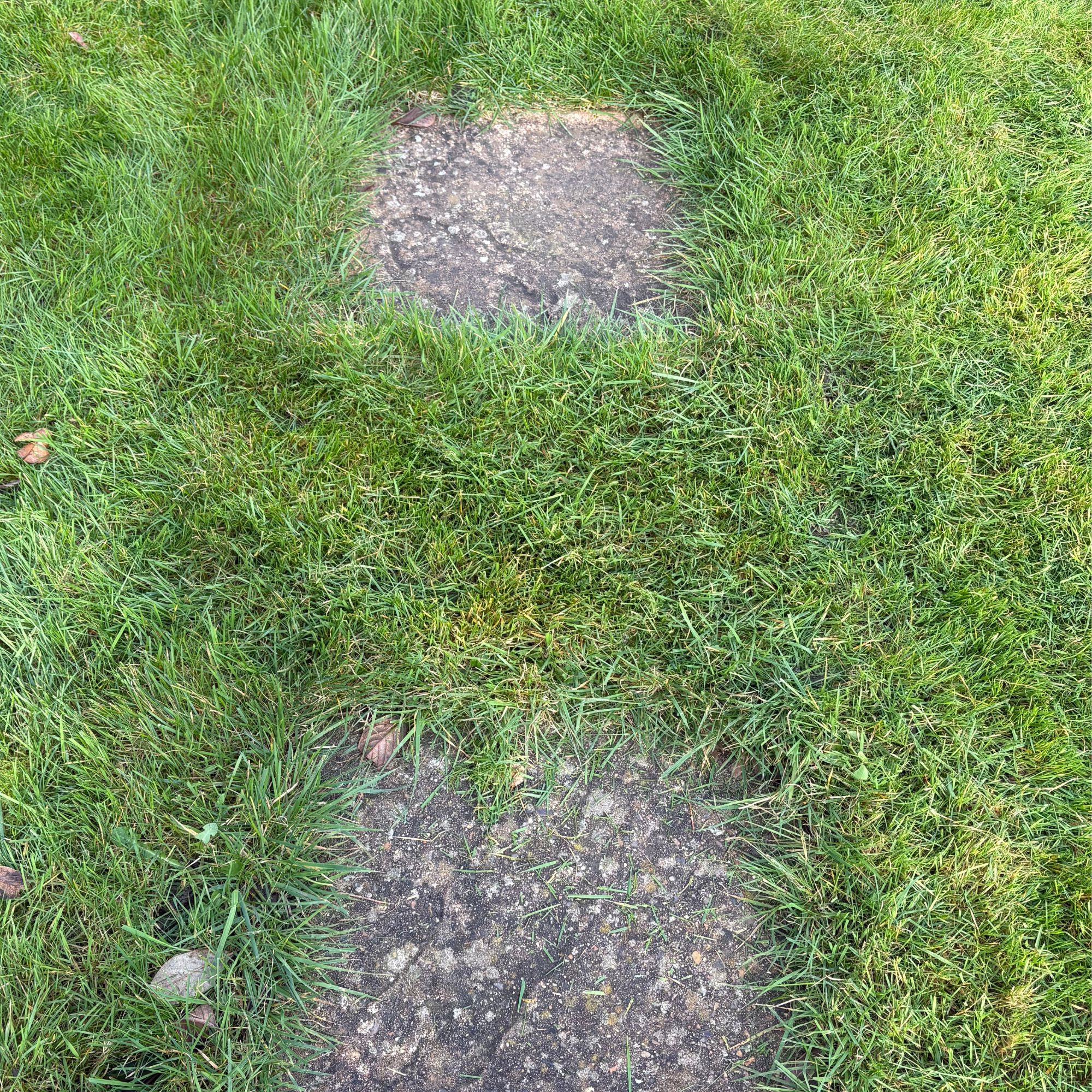 Grass around stepping stones mowed by Bosch VISIMOW18V-100 Robot Lawn Mower