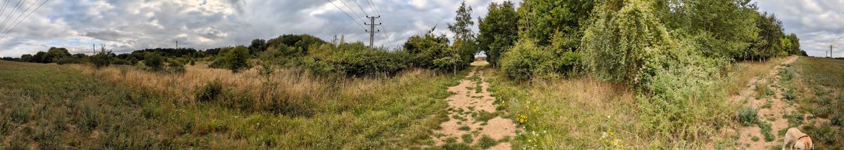 200 photos google pixel 8a panorama shots