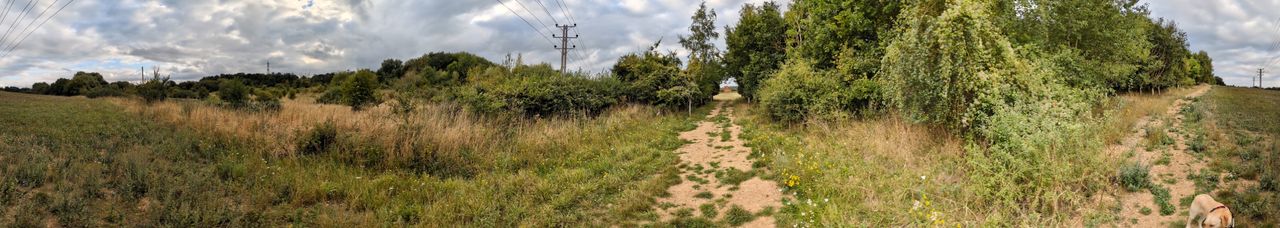 200 photos google pixel 8a panorama shots