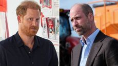 A composite of a picture of Prince Harry during a visit to the Birmingham Children's Hospital and a picture of Prince William on October 1, 2026 in Hereford