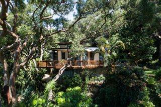 The Palm Beach Tree House overlooks the canopy