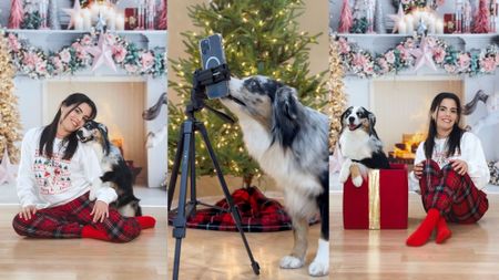 Dog photographer