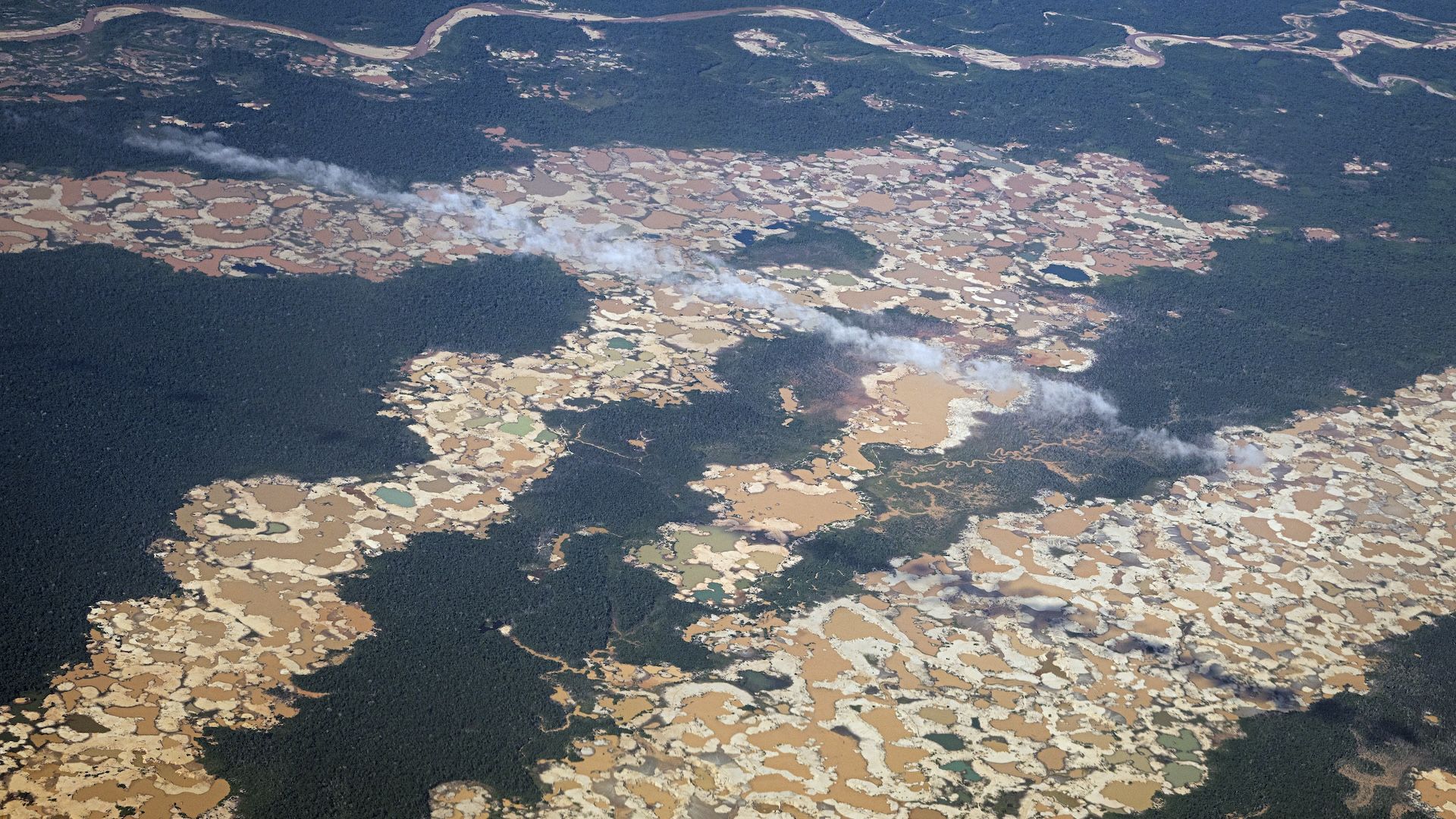 'It's like trying to grow a tree in an oven': Gold mining is sucking ...