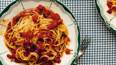 spaghetti with tomato sauce