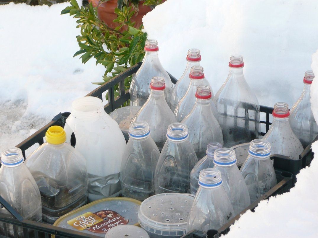 Homemade Greenhouse Of Plastic Bottles Full Of Seeds