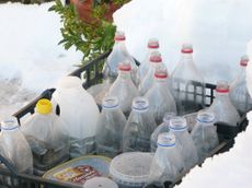 Homemade Greenhouse Of Plastic Bottles Full Of Seeds