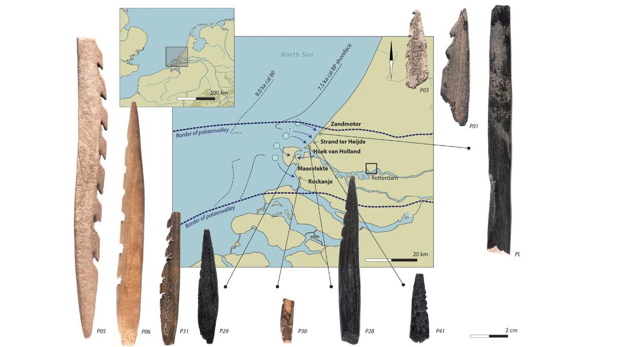 Weapons carved from human bones come from a drowned land bridge between Britain and Europe