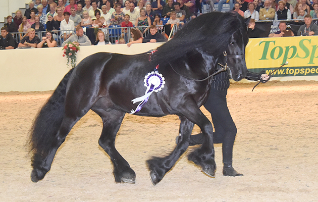 Equifest 2018